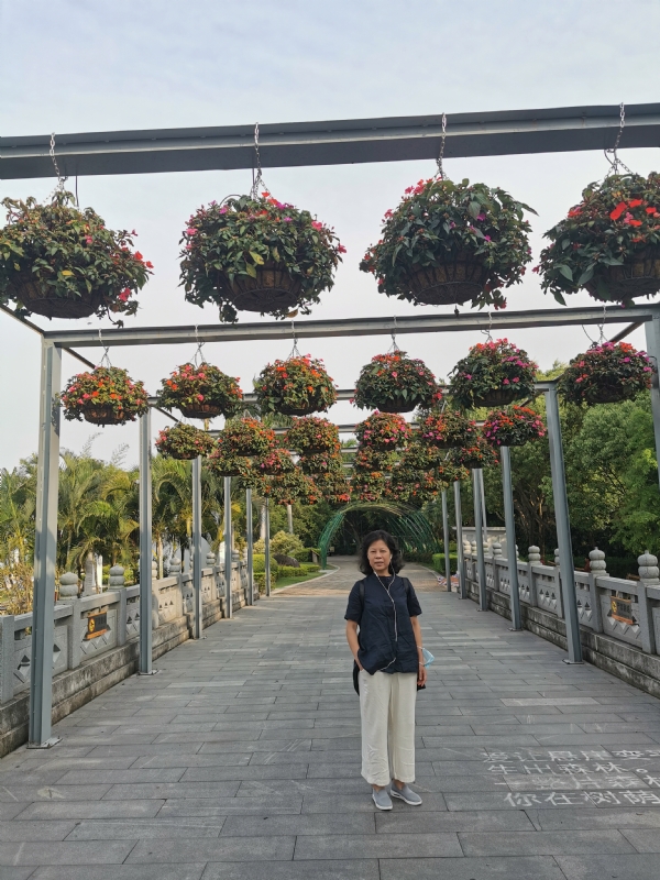 一叶知秋的第二张照片--厦门征婚网